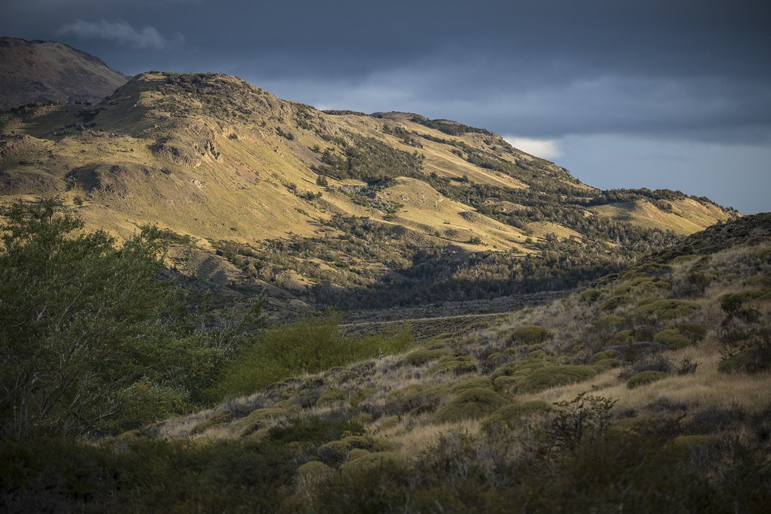 Alto Valle MWDSC_5891