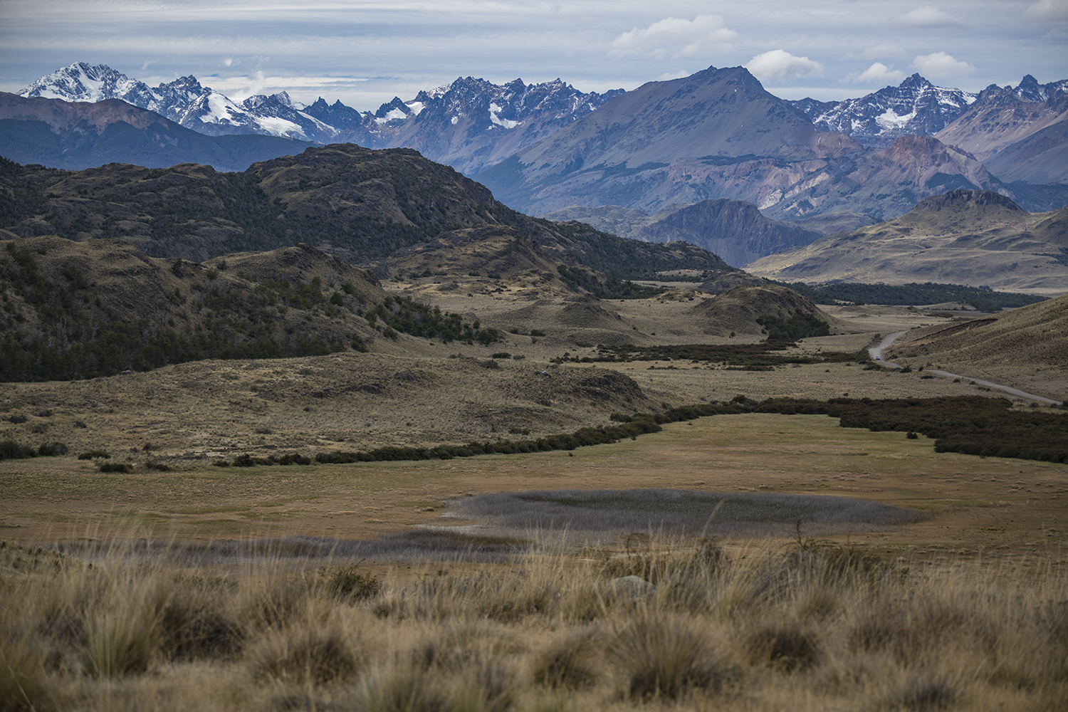 Valle Chacabuco MWDSC_5803