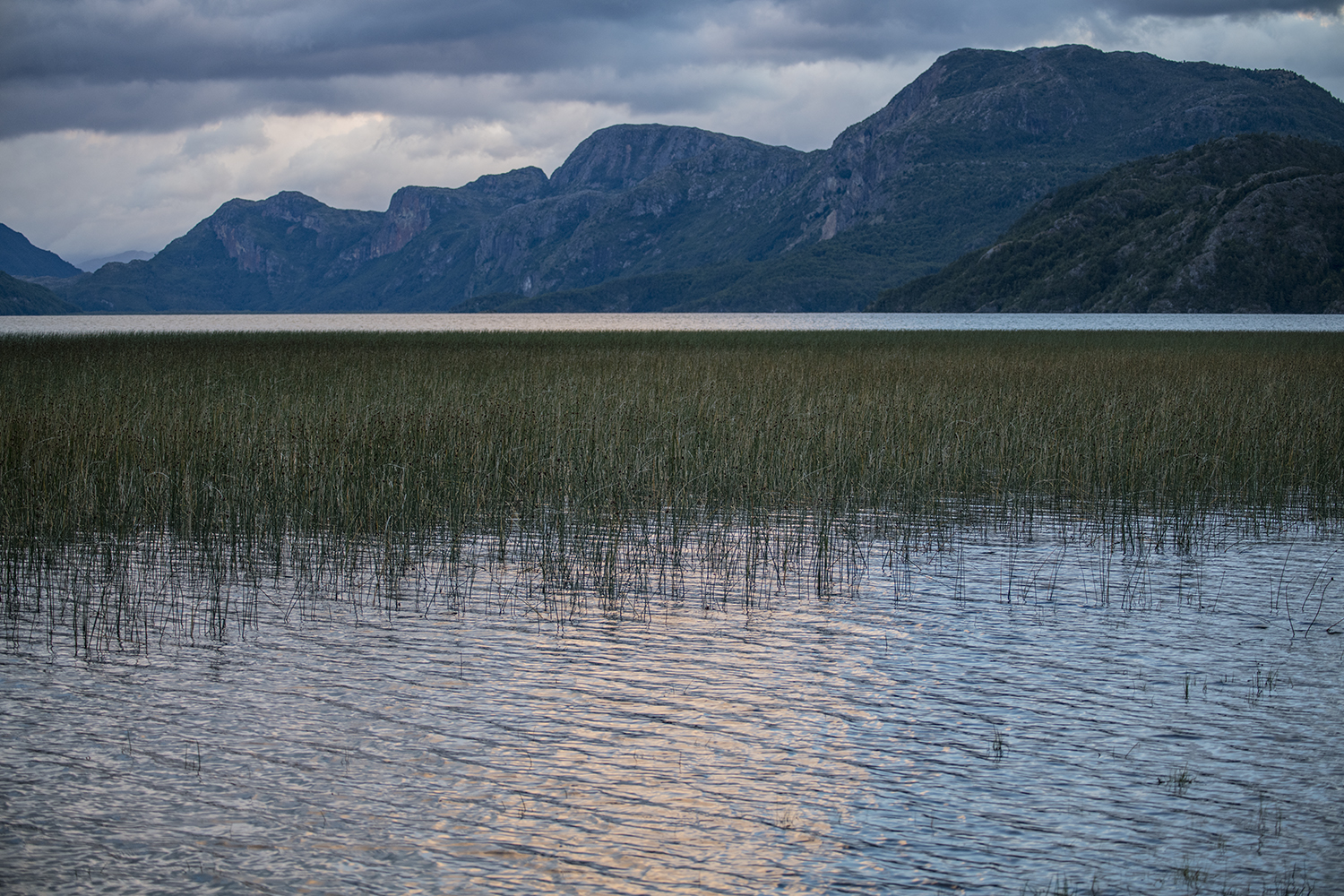 Laguna Cisne MWDSC_4759