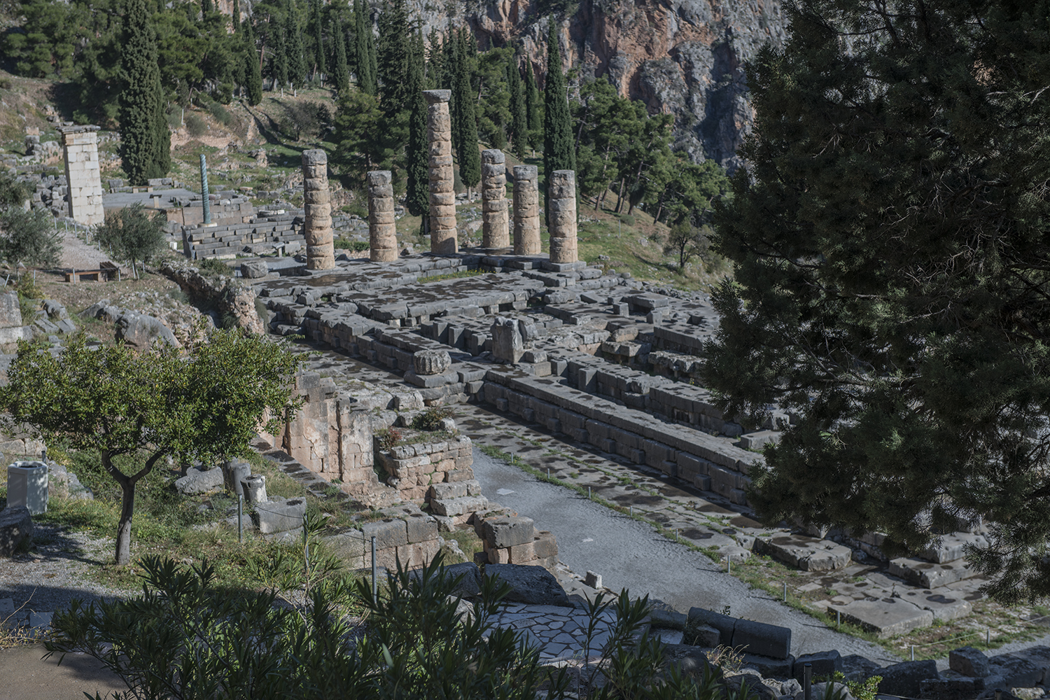 MWDSC_0197