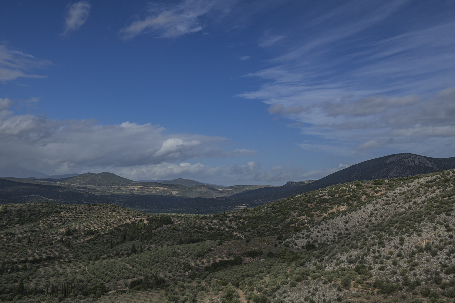 MWDSC_0381