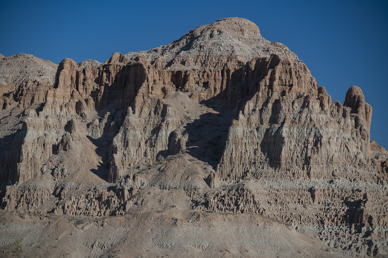 MWDSC_9584