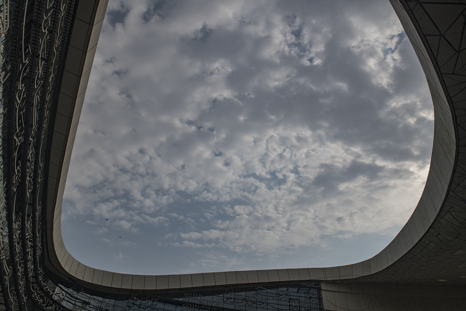 MWDSC_0199