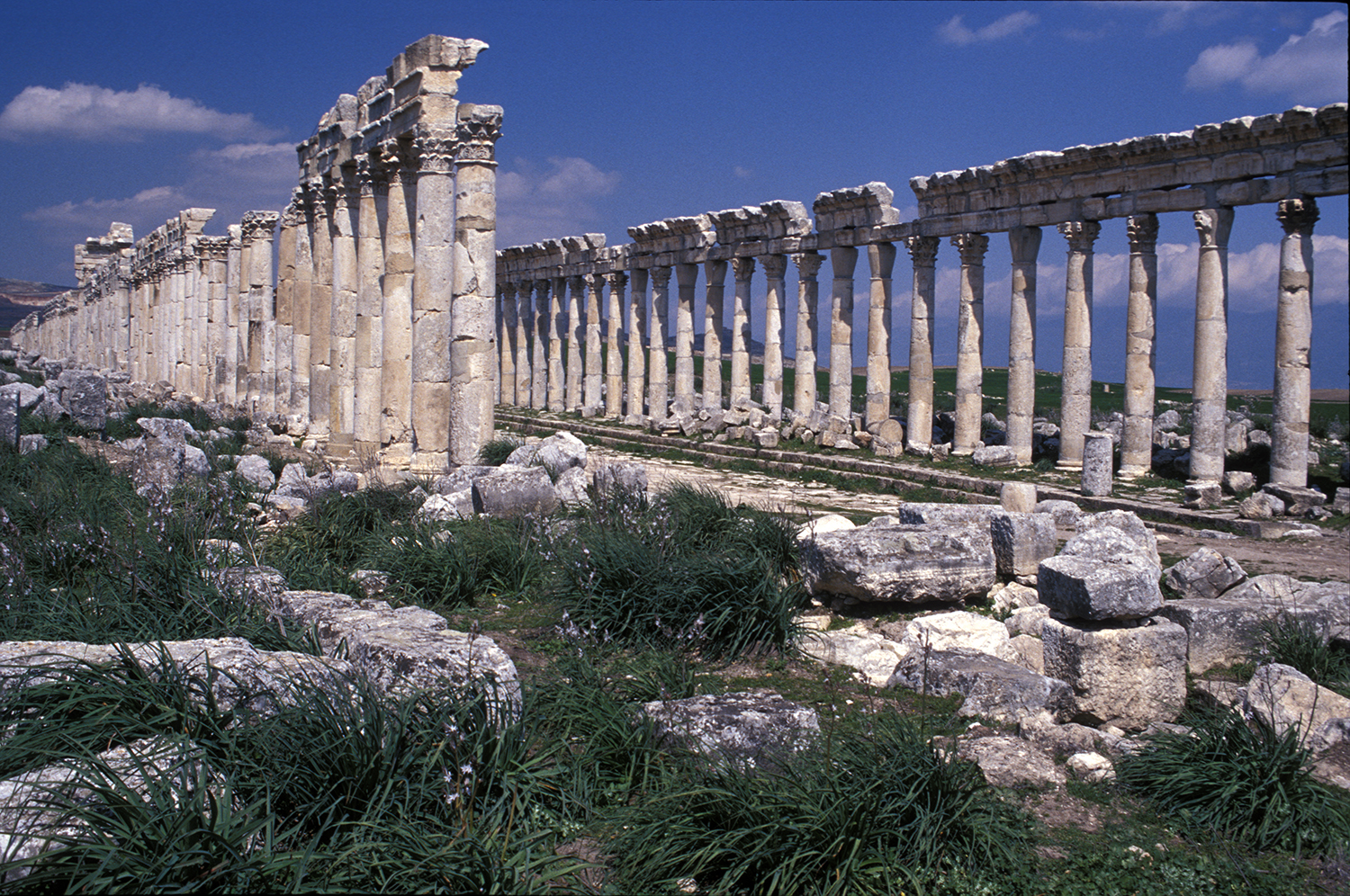 Apamea, Syria