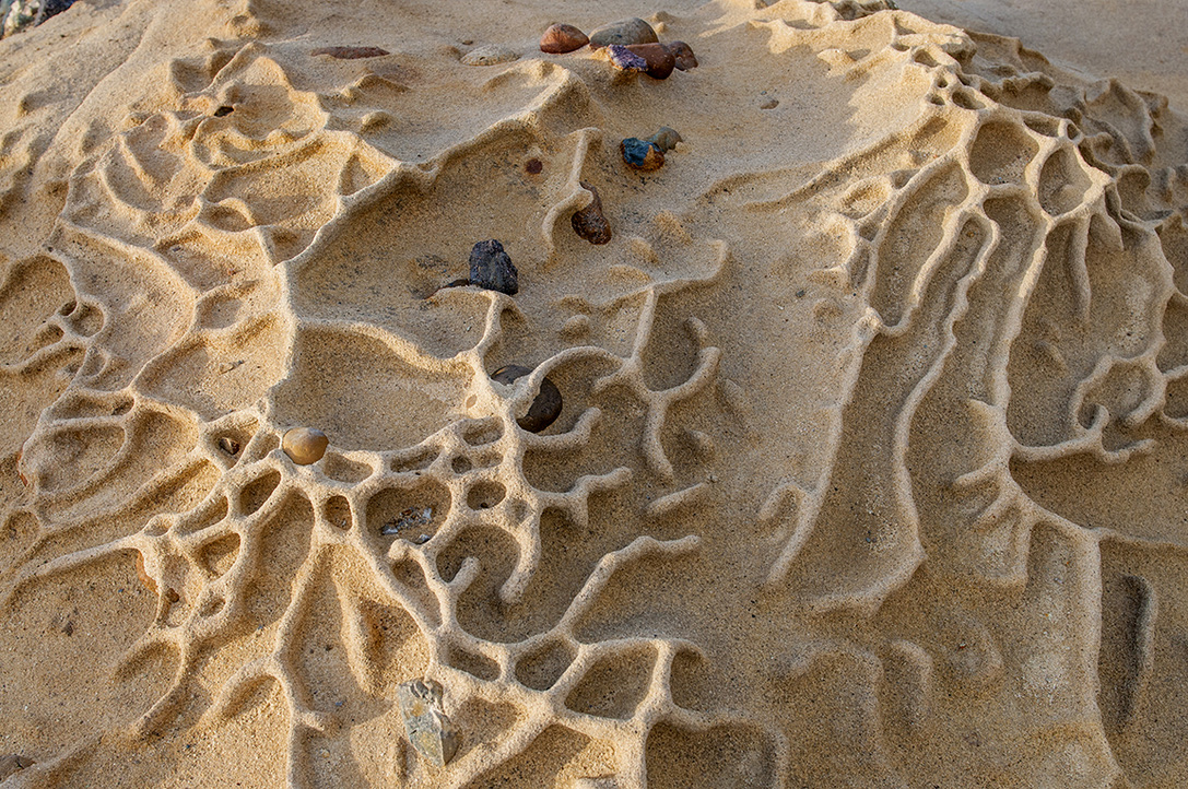 Point Lobos State Reserve, CA