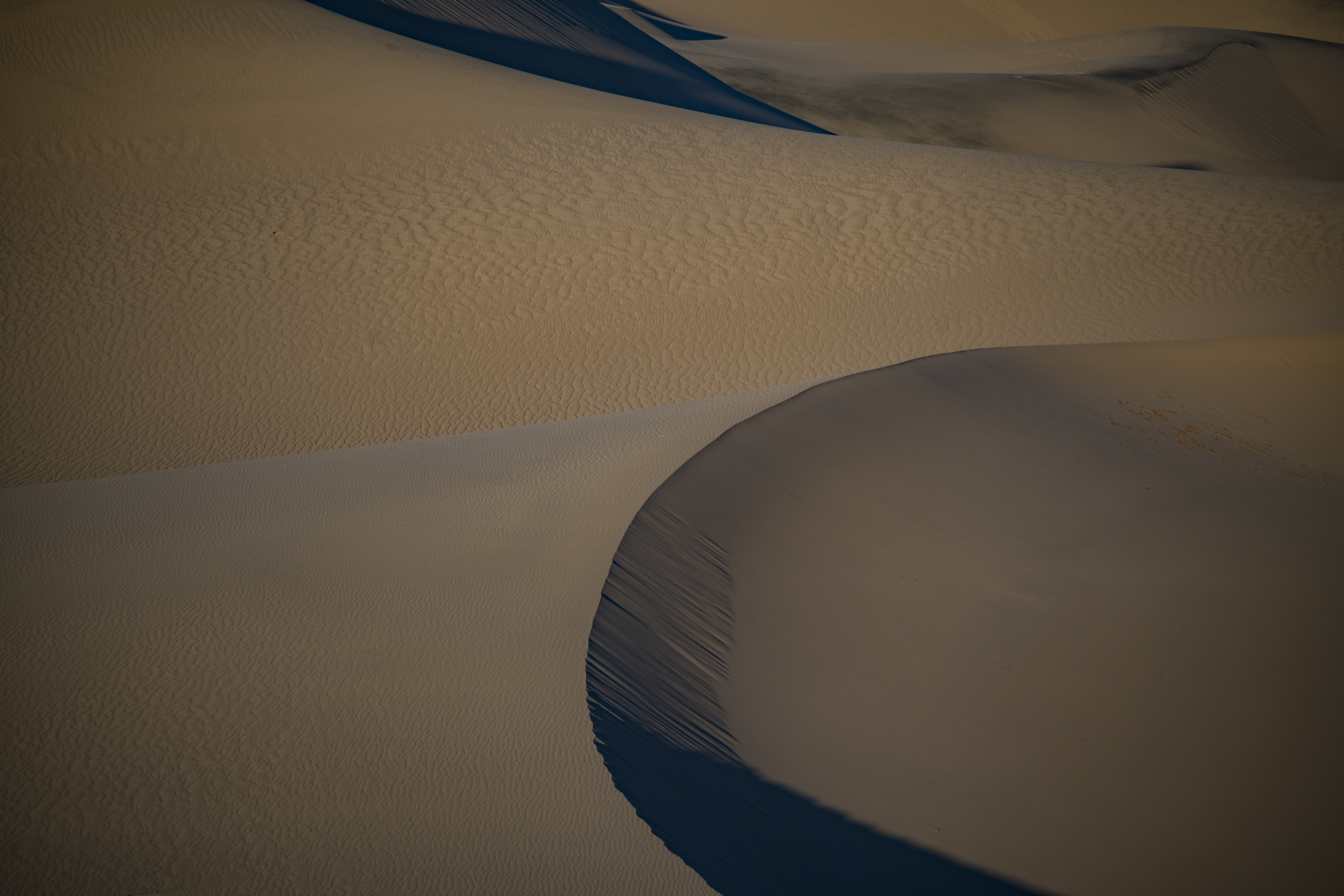 Mesquite DSC_9983 Fall OS 2021