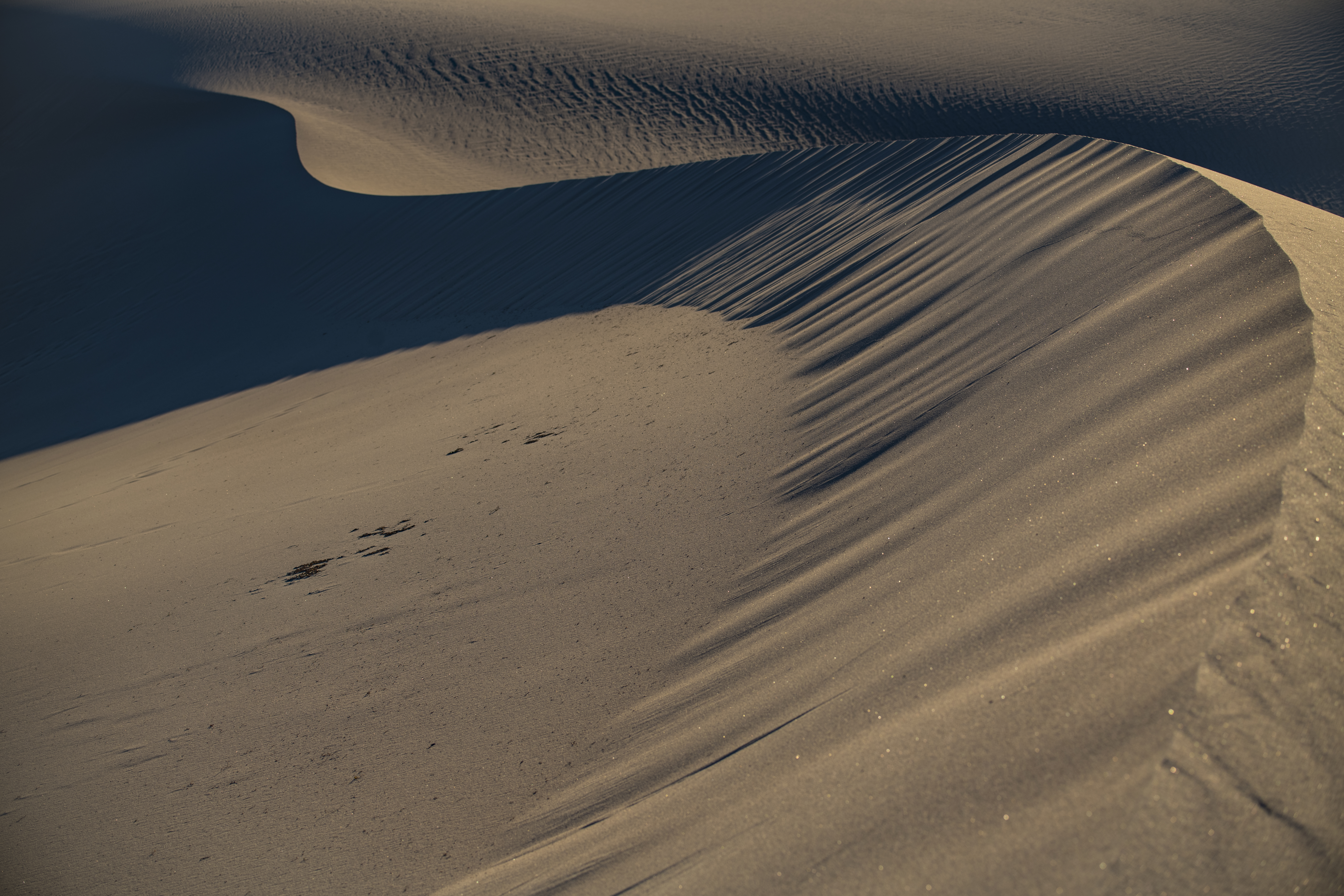 Mesquite Flat Sand Dunes, Death Valley NP, CA