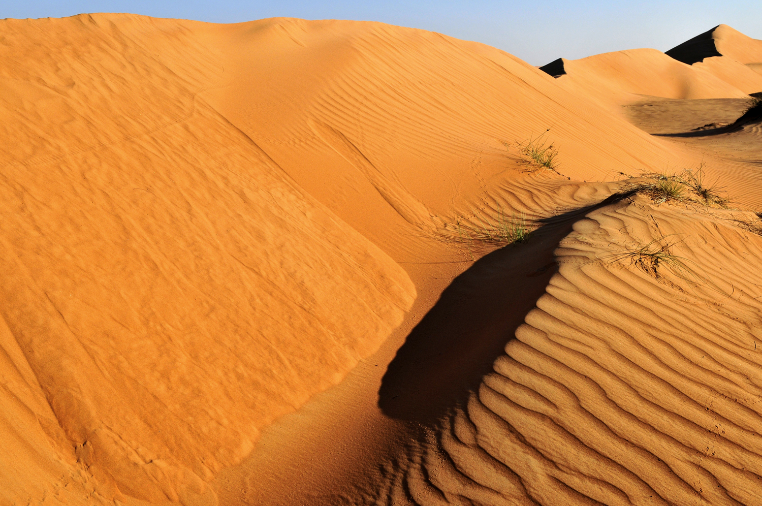 Wahiba Sands, Ash Sharqiya, Oman