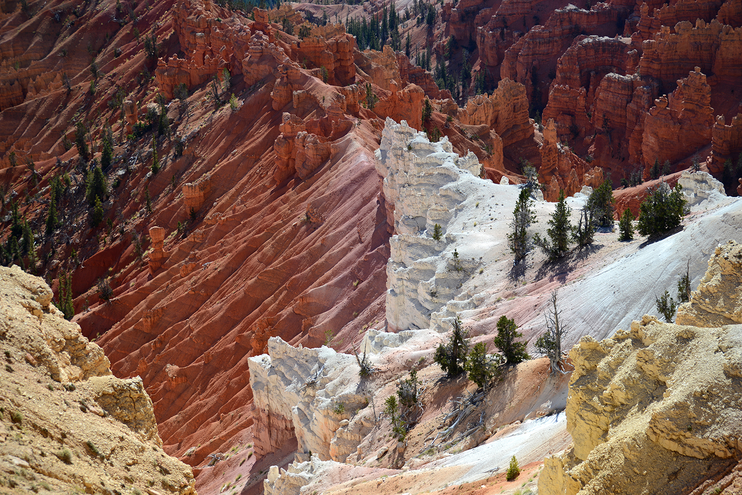 Cedar Breaks NM, UT