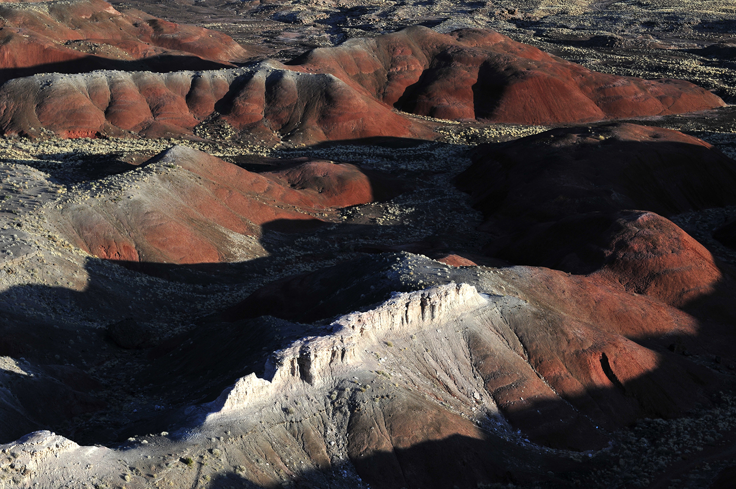 Petrified Forest NP, AZ