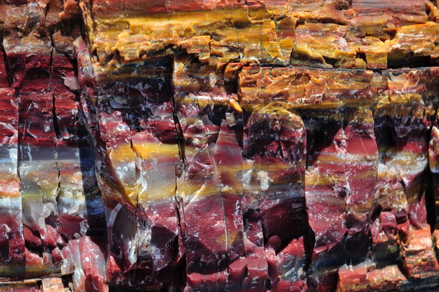 HorizontalPetrified2088