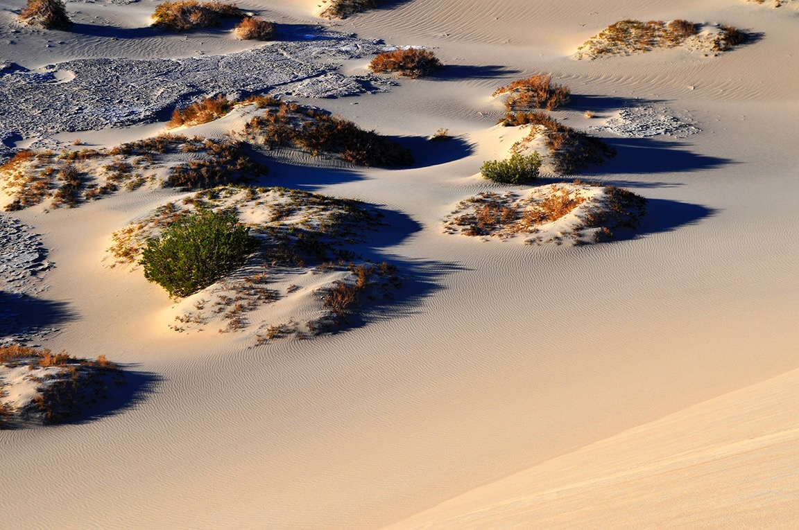 MWRMesquite Dunes021608n89e