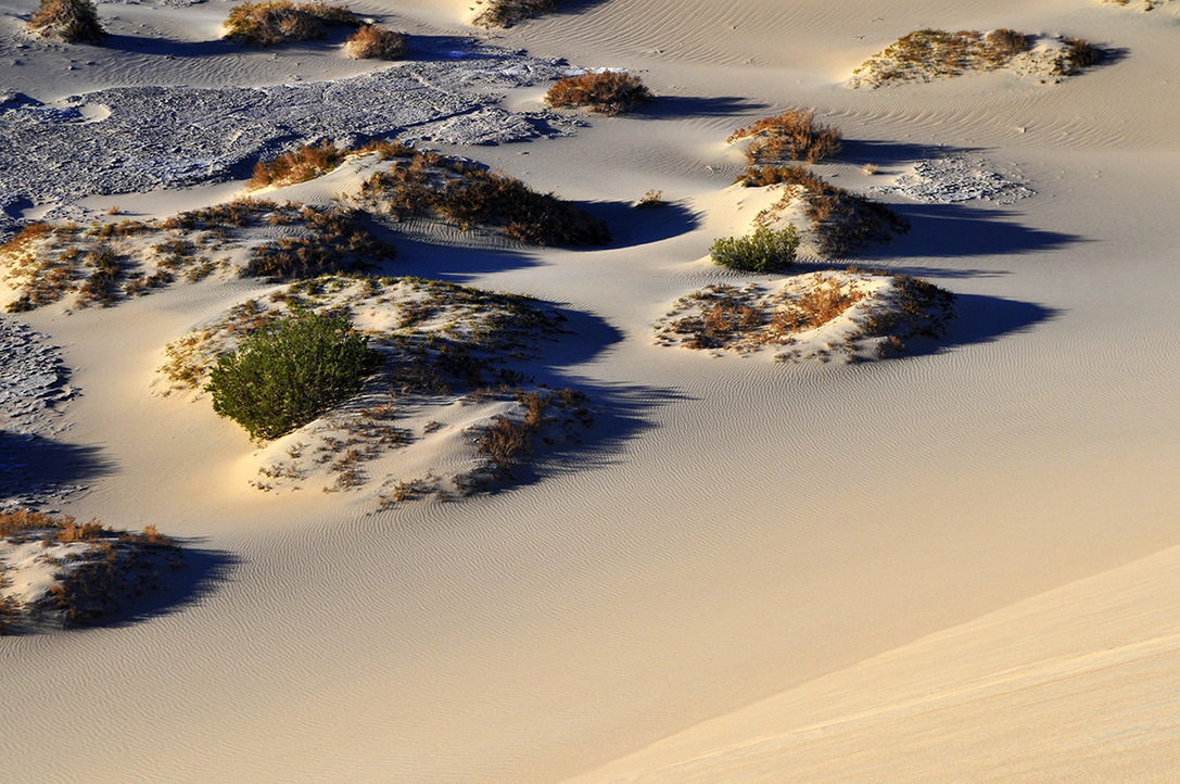 Mesquite Dunes, Death Valley NP, CA