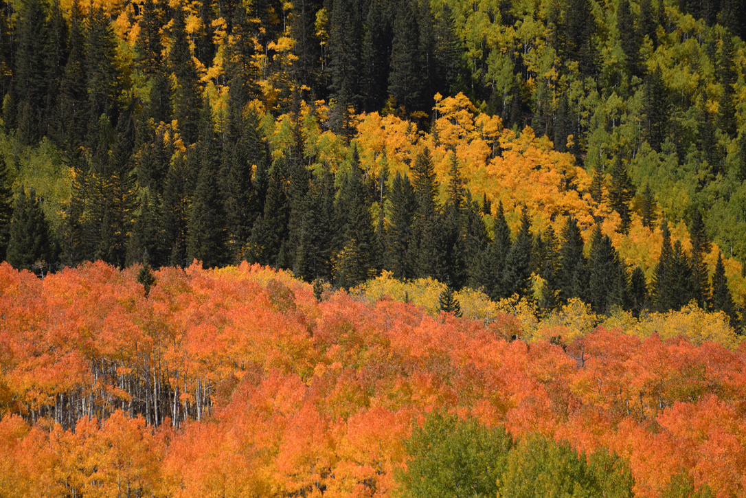 San Juan Mountains, CO