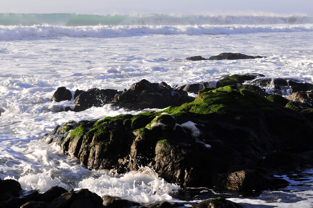 McClure Beach, Point Reyes NS