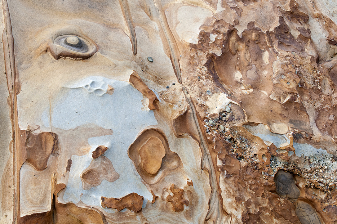 Point Lobos State Natural Reserve, CA