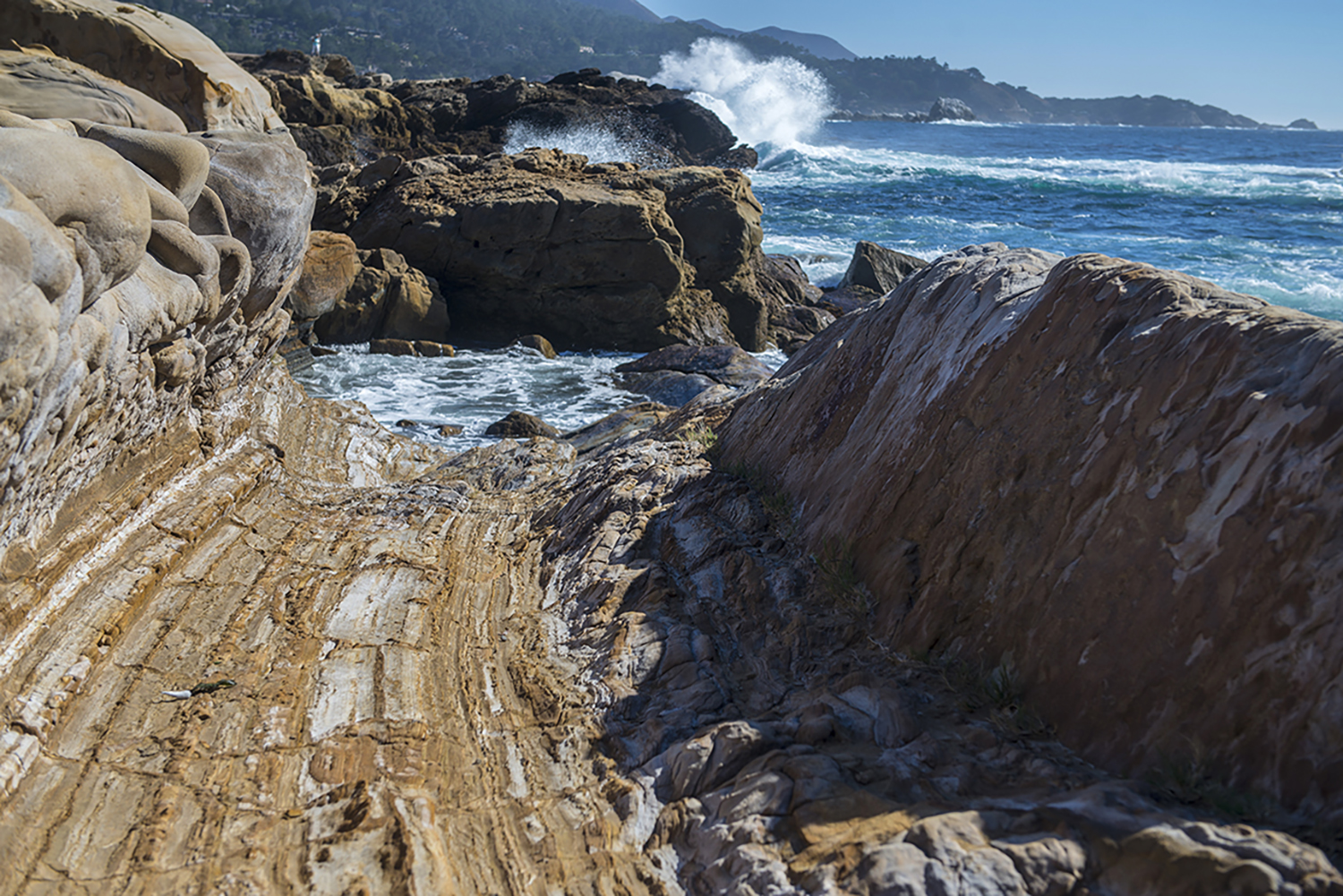 Point Lobos State Natural Reserve, CA