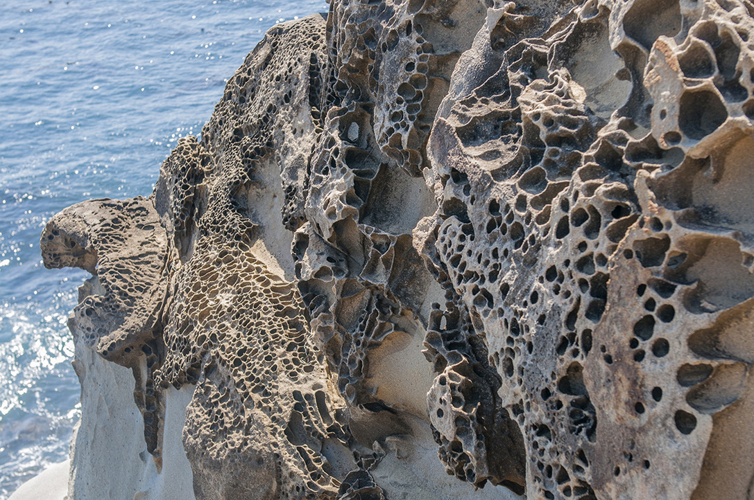 Sonoma Coast SP, CA