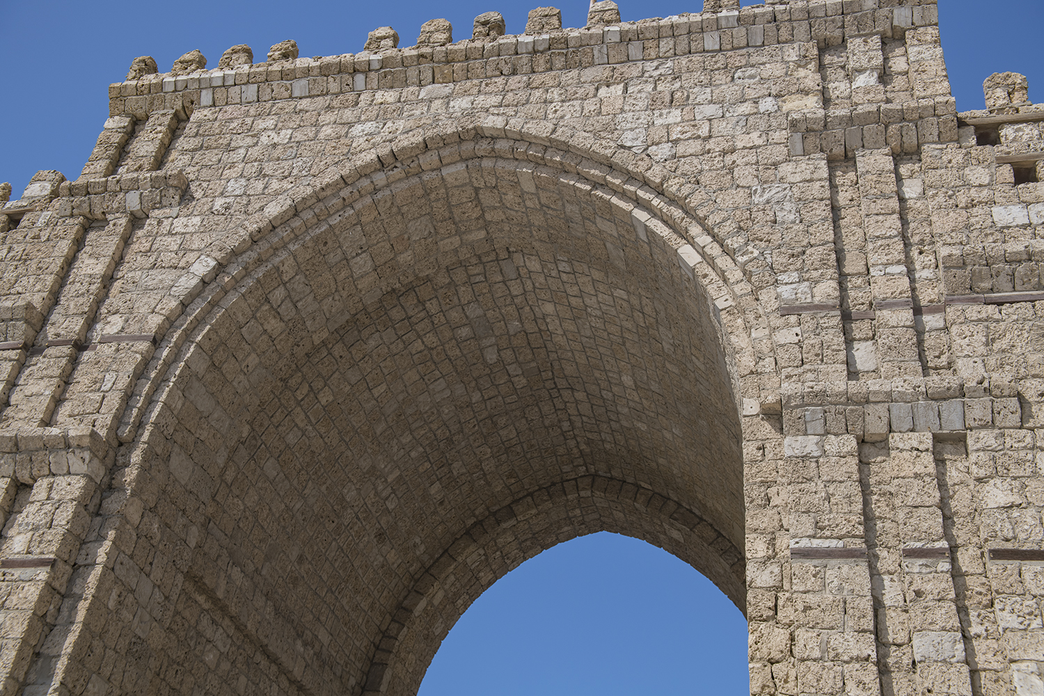 MWDSC_0433