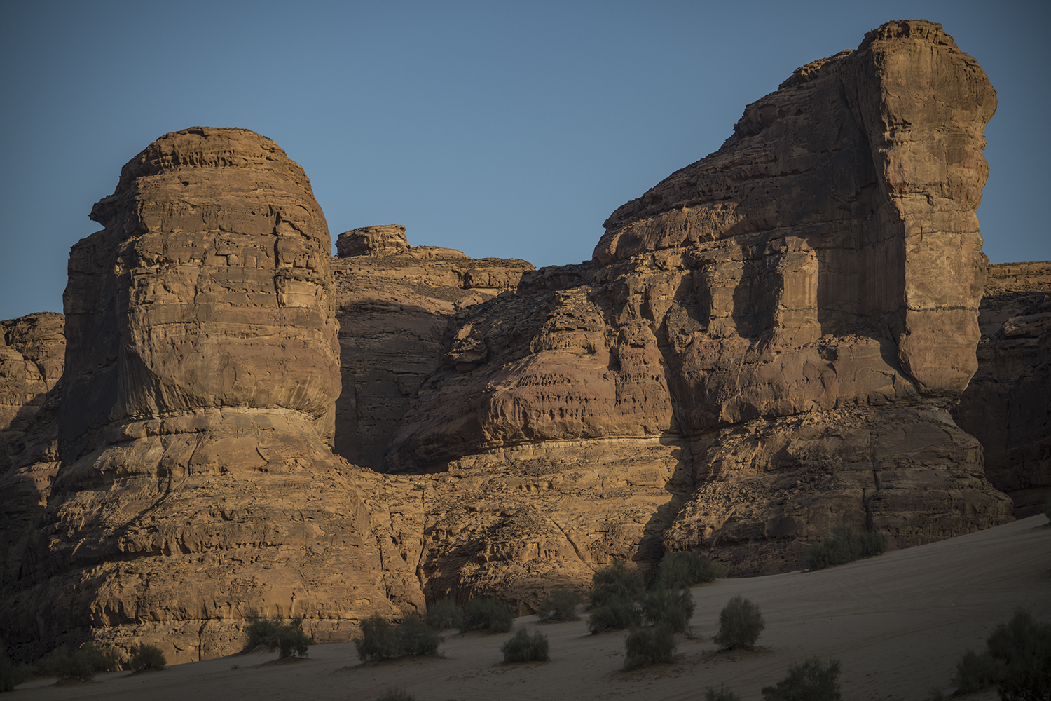 MWDSC_2192