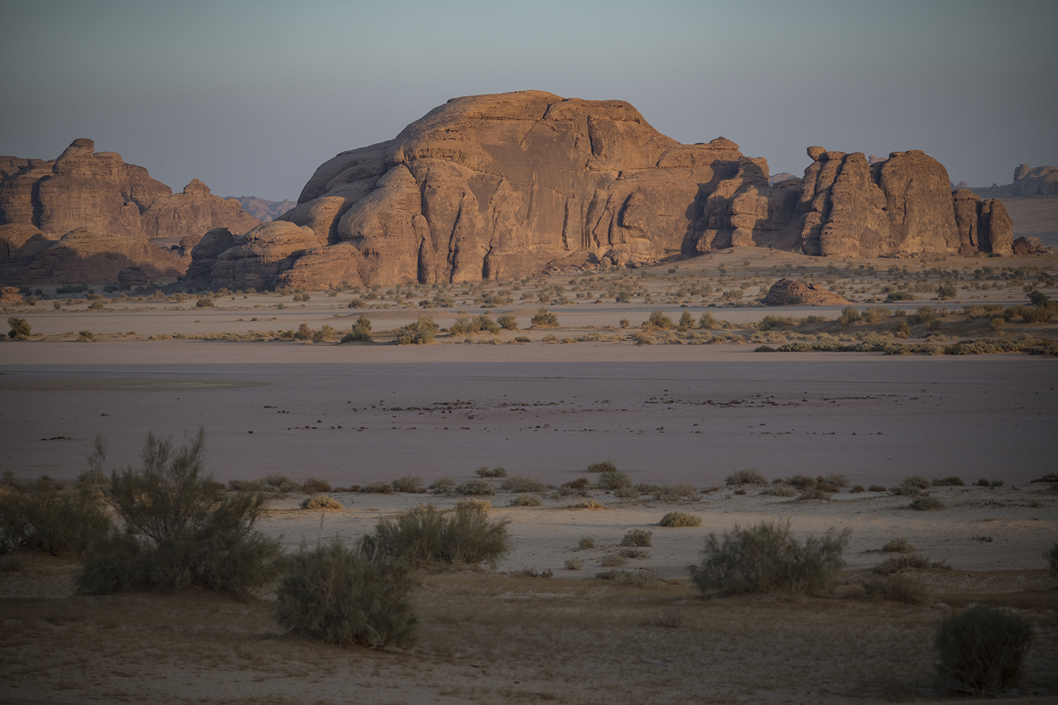 MWDSC_2256